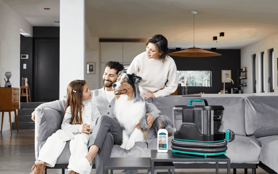 Rowenta Clean It Upholstery Vacuum Cleaner